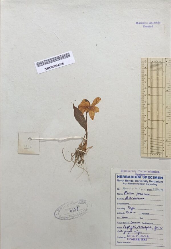 DocScanner 8 Apr 2026 1-56 pm